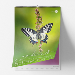 Schmetterlinge Kalender Fichtelgebirge